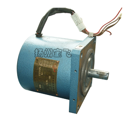 TDY系列永磁低速同步電動(dòng)機(jī)