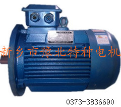 Y2系列立式三相異步電機