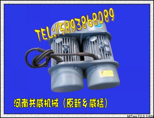 現(xiàn)貨WHZY、WLZD雙胞胎振動(dòng)電機(jī)