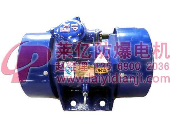 YBZU隔爆型振動源三相異步電動機(jī)