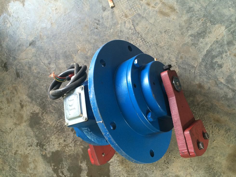 立式振動(dòng)電機(jī)|旋振篩推薦振動(dòng)電機(jī)|T05立式振動(dòng)電機(jī)