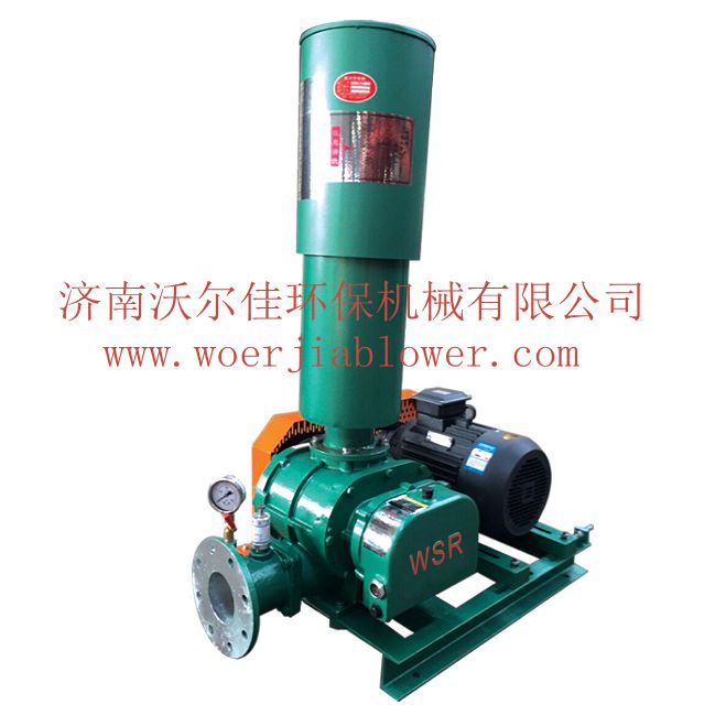 羅茨風(fēng)機(jī) ,SR65羅茨鼓風(fēng)機(jī) 噪音小 風(fēng)量大 間隙小 溫度低 真耐用。