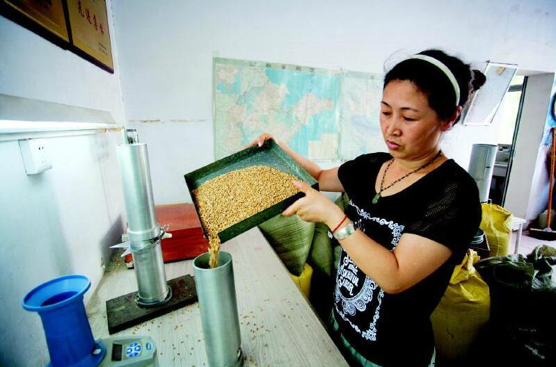 讓糧食干凈入庫的功臣振動篩-助力德州今年累計收購小麥68萬噸