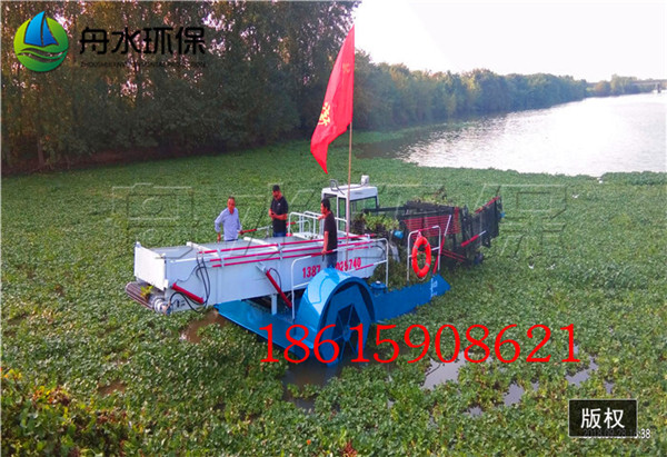 30湖北武漢水葫蘆打撈船 (5).jpg