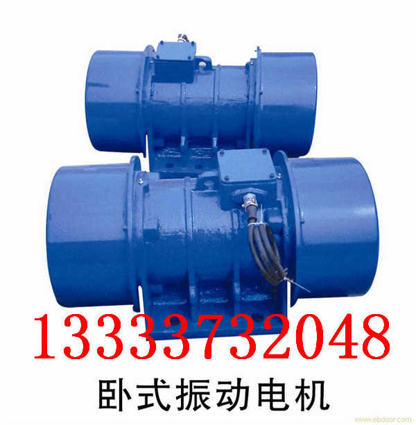 振動(dòng)電機(jī)33.jpg