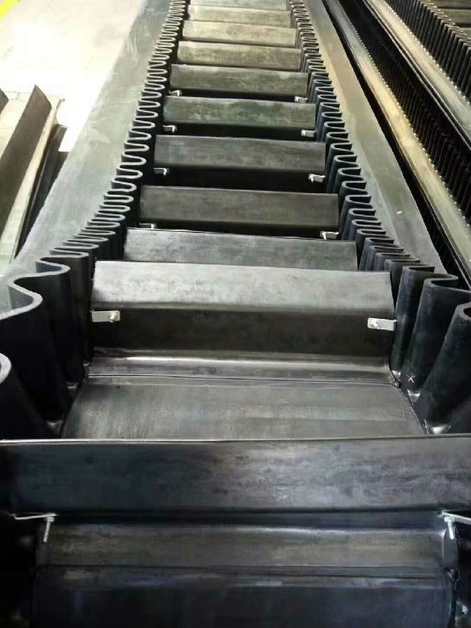 22266497.jpg